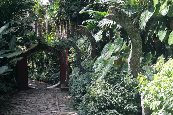 Belo Jardim Las Pozas Feito Por Edward James Conjunto Surreal — Fotografia de Stock