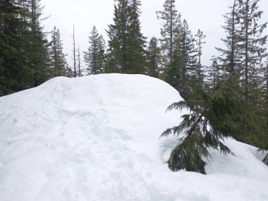 Karlı dağ manzarası. Çam ağaçları ve kulübelerle kaplı. Duvar kağıtları için soğuk cephe.