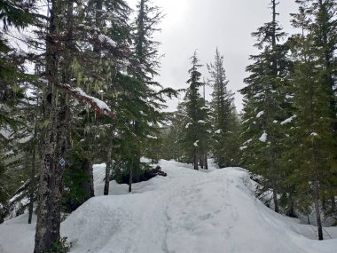 Karlı dağ manzarası. Çam ağaçları ve kulübelerle kaplı. Duvar kağıtları için soğuk cephe.