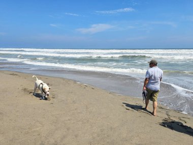 40 yaşındaki bekar Latin erkek, depresyon ve endişe üzerine çalışmak için duygusal destek köpeğiyle plajı seviyor.