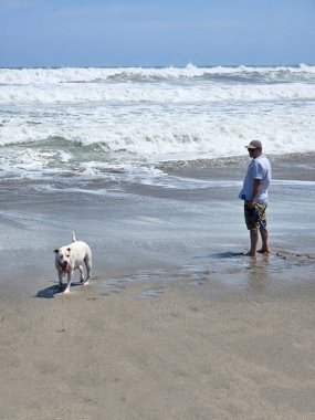 40 yaşındaki bekar Latin erkek, depresyon ve endişe üzerine çalışmak için duygusal destek köpeğiyle plajı seviyor.