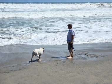 40 yaşındaki bekar Latin erkek, depresyon ve endişe üzerine çalışmak için duygusal destek köpeğiyle plajı seviyor.