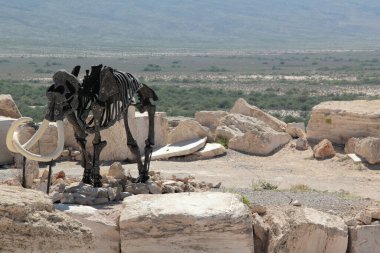 Cuatro Cienegas, Coahuila, Meksika - 28 Temmuz 2025: Cuatro Cienegas, Coahuila, Meksika 'daki Mermer Madenlerindeki dinozor iskeletleri