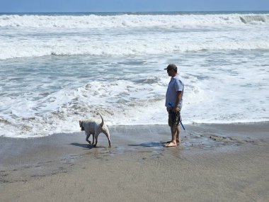 40 yaşındaki bekar Latin erkek, depresyon ve endişe üzerine çalışmak için duygusal destek köpeğiyle plajı seviyor.
