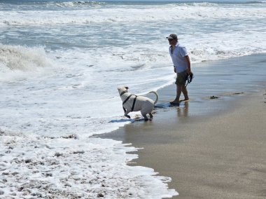 40 yaşındaki bekar Latin erkek, depresyon ve endişe üzerine çalışmak için duygusal destek köpeğiyle plajı seviyor.