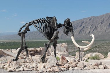 Cuatro Cienegas, Coahuila, Meksika - 28 Temmuz 2025: Cuatro Cienegas, Coahuila, Meksika 'daki Mermer Madenlerindeki dinozor iskeletleri