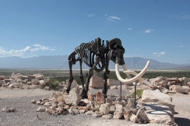 Cuatro Cienegas, Coahuila, Meksika - 28 Temmuz 2025: Cuatro Cienegas, Coahuila, Meksika 'daki Mermer Madenlerindeki dinozor iskeletleri