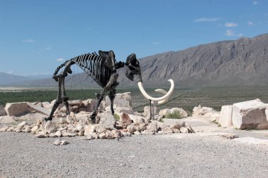 Cuatro Cienegas, Coahuila, Meksika - 28 Temmuz 2025: Cuatro Cienegas, Coahuila, Meksika 'daki Mermer Madenlerindeki dinozor iskeletleri