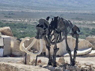 Cuatro Cienegas, Coahuila, Meksika - 28 Temmuz 2025: Cuatro Cienegas, Coahuila, Meksika 'daki Mermer Madenlerindeki dinozor iskeletleri