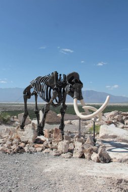 Cuatro Cienegas, Coahuila, Meksika - 28 Temmuz 2025: Cuatro Cienegas, Coahuila, Meksika 'daki Mermer Madenlerindeki dinozor iskeletleri