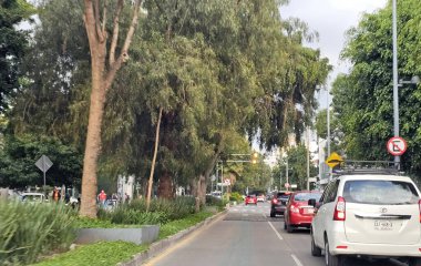 Mexico City, Mexico - Oct 2, 2025: Presidente Masaryk avenue is one of the most exclusive and expensive streets in Mexico, located in Polanco in CDMX, with shops and restaurants