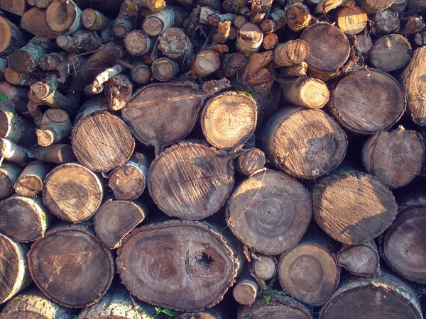 Troncos de madera cortados fondo —  Fotos de Stock