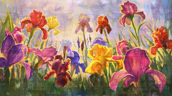 Irises - imitation of oil on canvas. — Stock Photo, Image