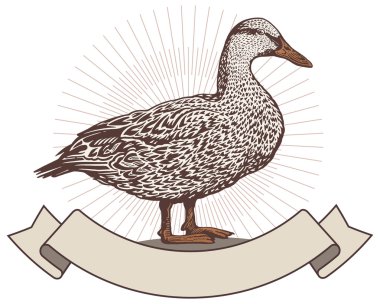 Grafik stili ördek