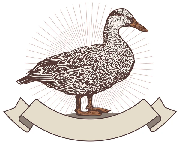 Ente im grafischen Stil — Stockvektor