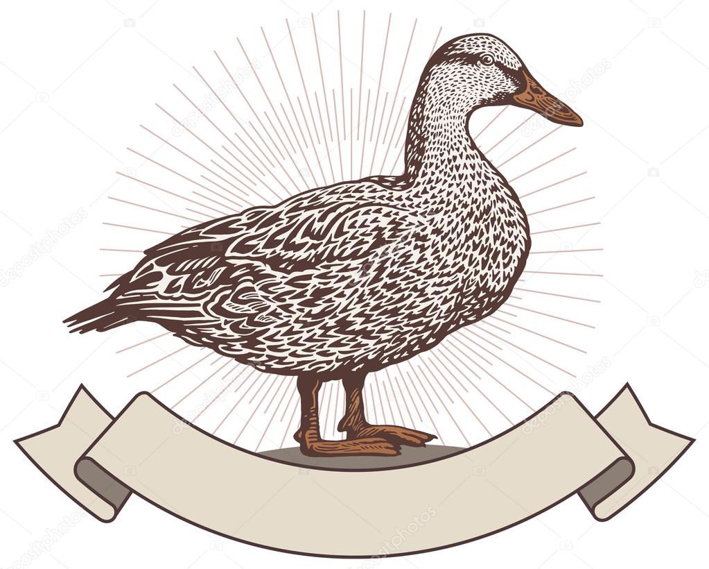 Duck in graphic style