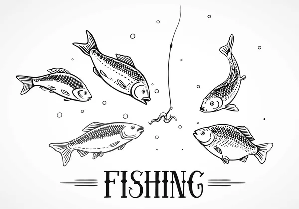 Ψαριών που επιπλέουν για το δόλωμα — Διανυσματικό Αρχείο