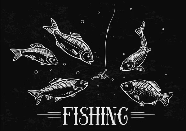 Ryby plovoucí na návnadu — Stockový vektor