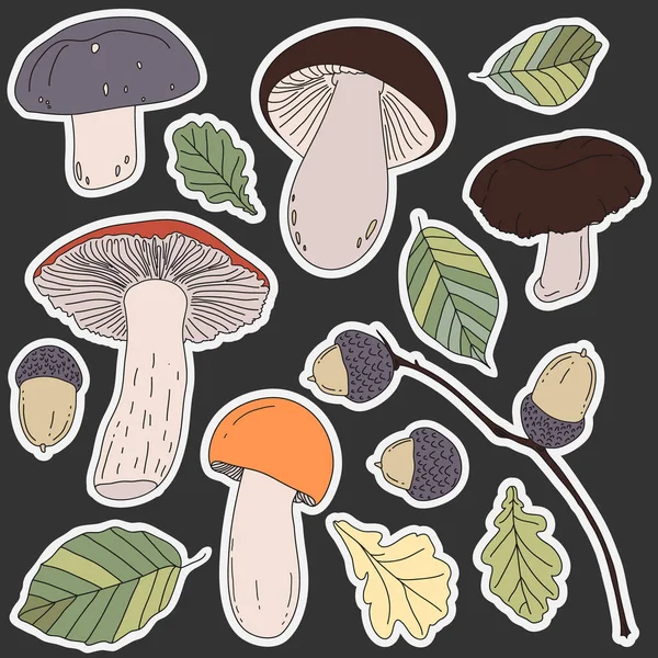 Pilze Eicheln Und Blätter Lassen Aufkleber Isoliert Auf Dunkel Herbstliche Stockillustration