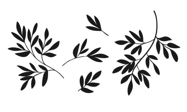 Διάνυσμα Σιλουέτα Των Κλαδιών Φύλλα Απομονώνονται Λευκό Φόντο Floral Μαύρα — Διανυσματικό Αρχείο