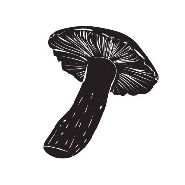 Elle çizilmiş mantar mantarı. Sihirli mantar konsepti. Beyaz arka planda izole edilmiş yemek çizimi. Organik vejetaryen ürün. Menü, etiket, ürün paketleme, tarif için harika