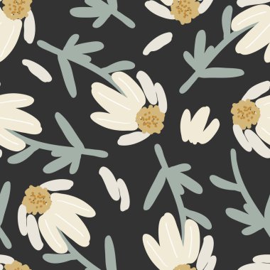 Papatya çayı pürüzsüz desen. Sonsuz çiçekli arka plan. Kumaş tasarımı, ambalaj kağıdı, tekstil tasarımı. Siyah arkaplanda papatya çayı izole edildi