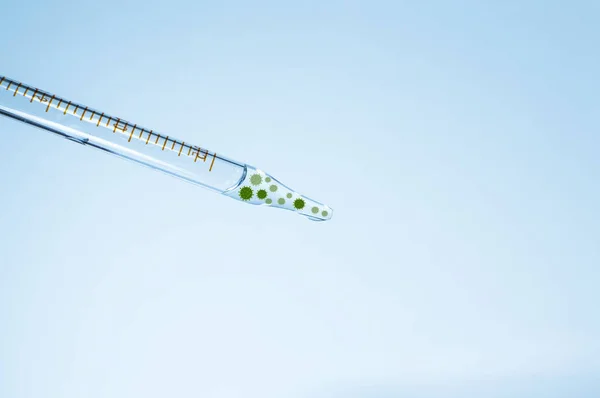 医学研究所 青い背景に透明な液体とウイルスのピペット 実験室テスト ビットマップ描画の要素 — ストック写真