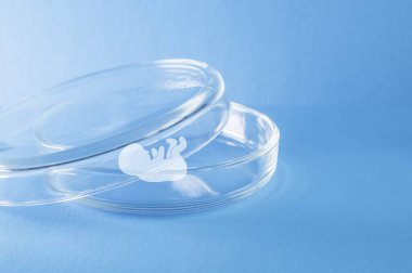 Medicine. A human embryo in a petri dish on a blue background. Elements of a bitmap drawing. Family planning. Close-up.