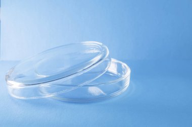 Medicine. Petri dish on a blue background. Medical instruments. Laboratory. Close-up.