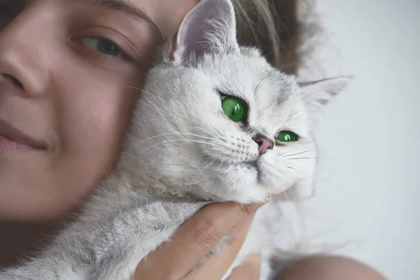 Gato Blanco Con Flores Verdes Las Manos Una Hermosa Niña —  Fotos de Stock