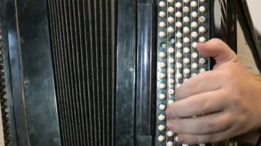 Bir adamın elleri yakın plan akordeon çalıyor. 4k video biçimi.