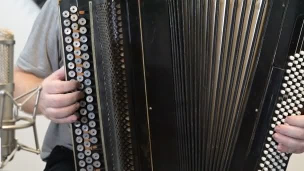 Hands Man Play Accordion Close Video Format — Stock Video