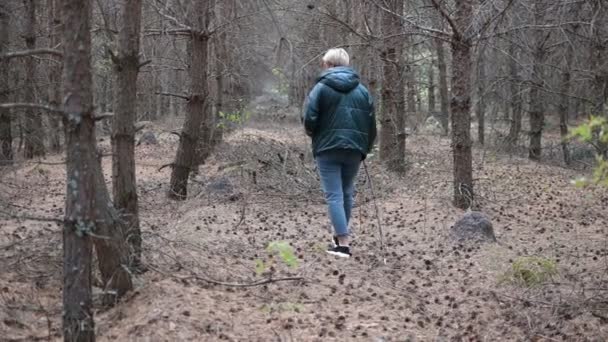 Une Fille Promène Dans Une Forêt Dense Recherche Champignons — Video