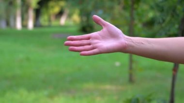 Kadınların elleri birbirine yakın bir selamlama hareketi yapar, yeşil doğanın arka planına karşı selam verir, birbirini selamlar.