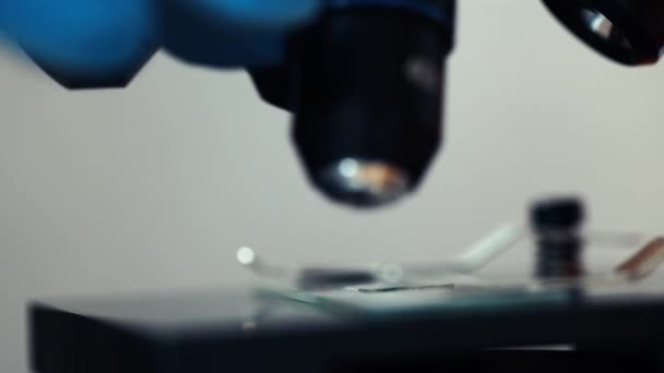 Gros plan de la lentille de microscope avec échantillon en laboratoire — Video