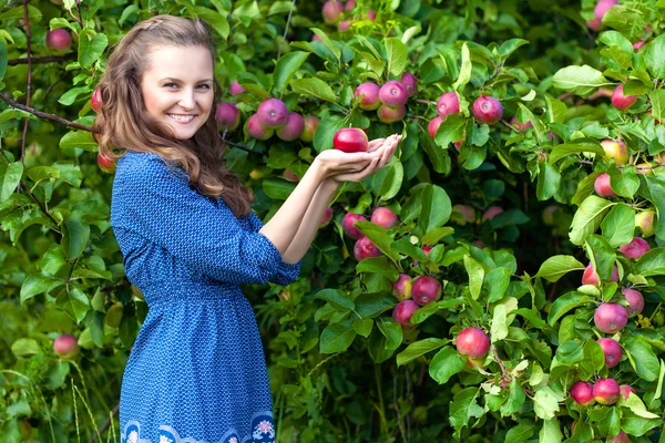 A woman in the apple garden — Stock Photo, Image