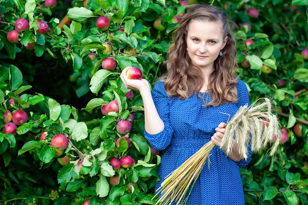 A woman in the apple garden — Stock Photo, Image