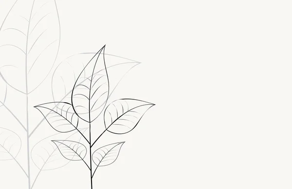 Фон с веткой с листьями — стоковый вектор