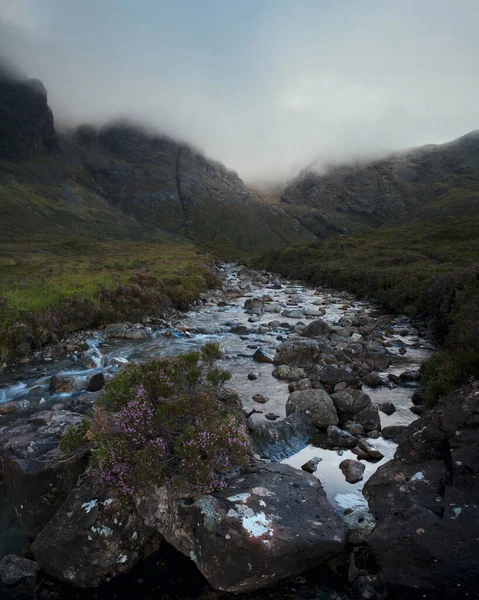 Rano widok na rzekę z kwiatami na pierwszym planie i pokryte chmurą pasmo górskie — Zdjęcie stockowe