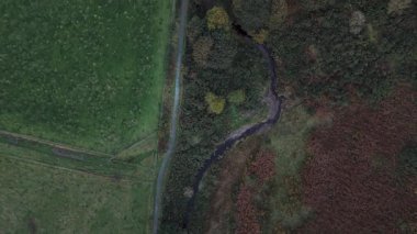Kırsal kesimde yeşil tarlalar, çalılar ve sonbahar bitkileriyle akan dar bir nehrin yukarıdan görünüşü. Dolambaçlı su yolu ve patikası olan doğal manzara.
