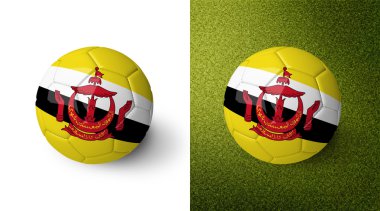 3d realistic soccer ball with Brunei flag on it isolated on white background and on green soccer field. See whole set for other countries.