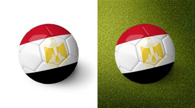3d realistic soccer ball with Egypt flag on it isolated on white background and on green soccer field. See whole set for other countries.