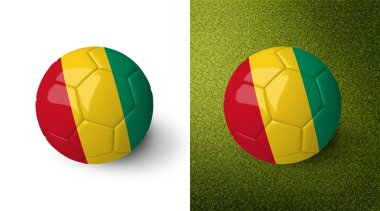 3d realistic soccer ball with Guinea flag on it isolated on white background and on green soccer field. See whole set for other countries.