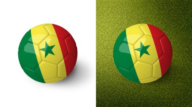3d realistic soccer ball with Senegal flag on it isolated on white background and on green soccer field. See whole set for other countries.