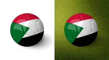 3d realistic soccer ball with Sudan flag on it isolated on white background and on green soccer field. See whole set for other countries.