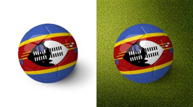 3d realistic soccer ball with Swaziland flag on it isolated on white background and on green soccer field. See whole set for other countries.