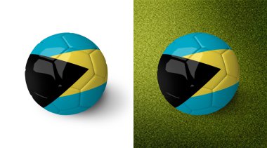 3d realistic soccer ball with the Bahamas flag on it isolated on white background and on green soccer field. See whole set for other countries.