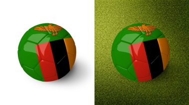 3d realistic soccer ball with Zambia flag on it isolated on white background and on green soccer field. See whole set for other countries.