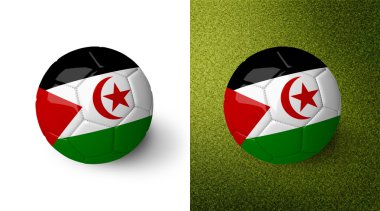 3d realistic soccer ball with Western Sahara flag on it isolated on white background and on green soccer field. See whole set for other countries.