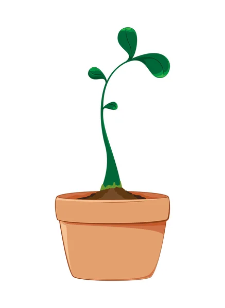 Planta de cultivo — Vector de stock